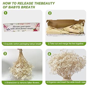 Amazon.com: 2000+ Dried Babys Breath Flowers Bulk - 17